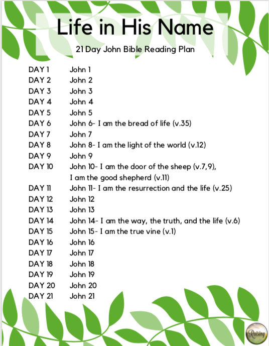 John Bible Reading Plan - Raising Everyday Disciples